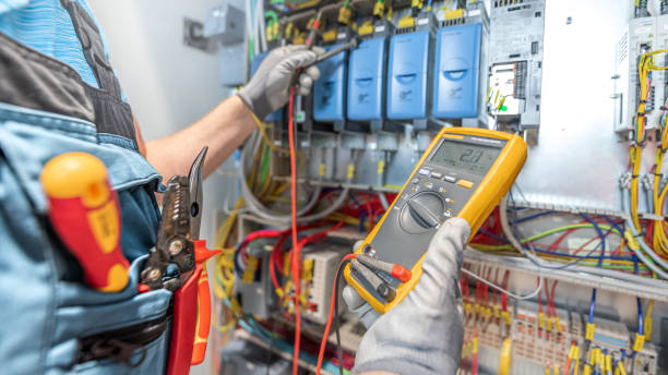Best Electrical System Inspection  in Cienegas Terrace, TX